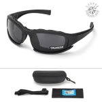 Lunettes de protection polarisées pour usage professionnel et loisir